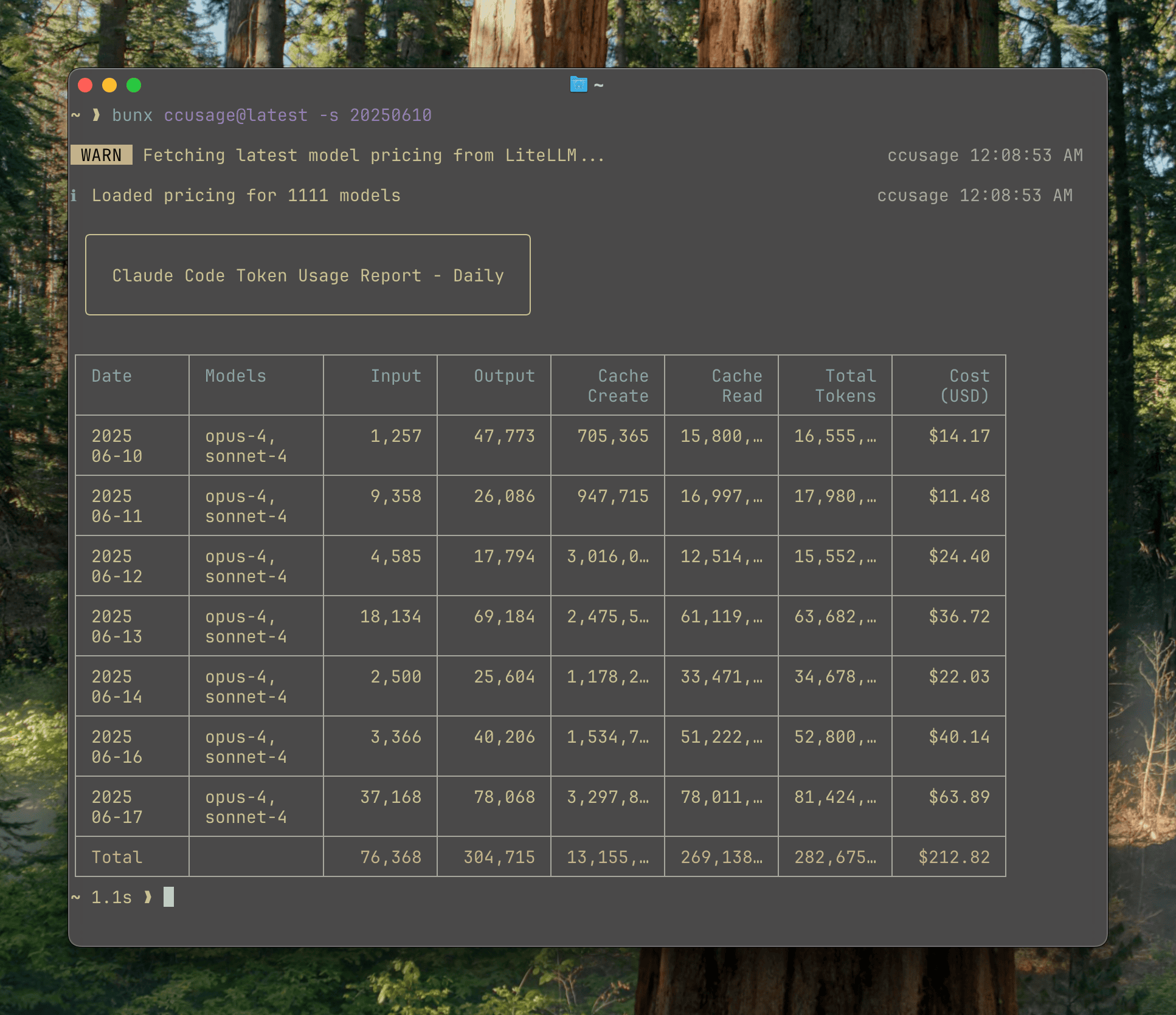 ccusage daily report showing token usage and costs by date